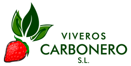 Viveros_Carbonero_LOGO_web-1